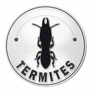 Diagnostic termites brest